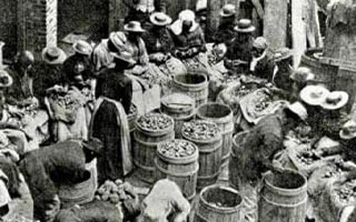 Black women sorting foodstuffs after the Sea Island Hurricane of 1893.